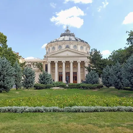 Morii & 3* Bucarest